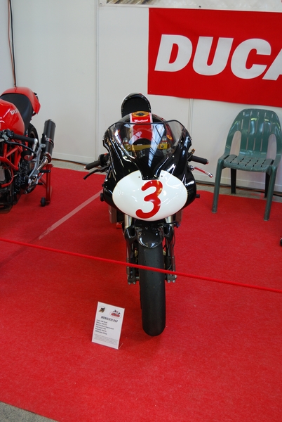 Puce_Niort_2009_009 [800x600].jpg
